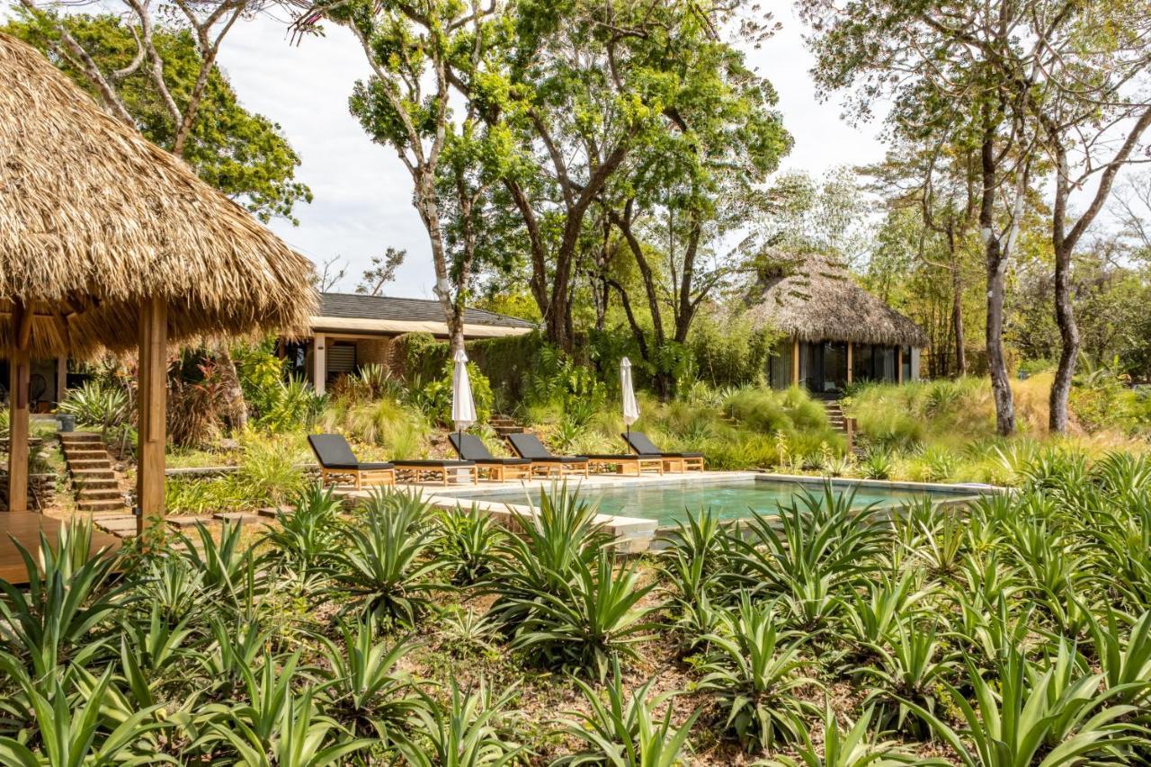 Playa Santa Teresa  Thea Resort & Retreats - Santa Teresa מראה חיצוני תמונה
